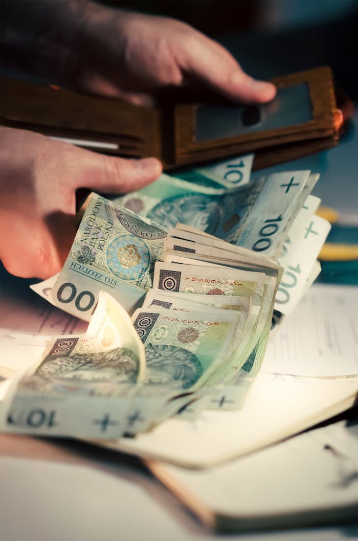 services-01 Person counting Polish Zloty banknotes taken from a wallet, symbolizing finance and business.